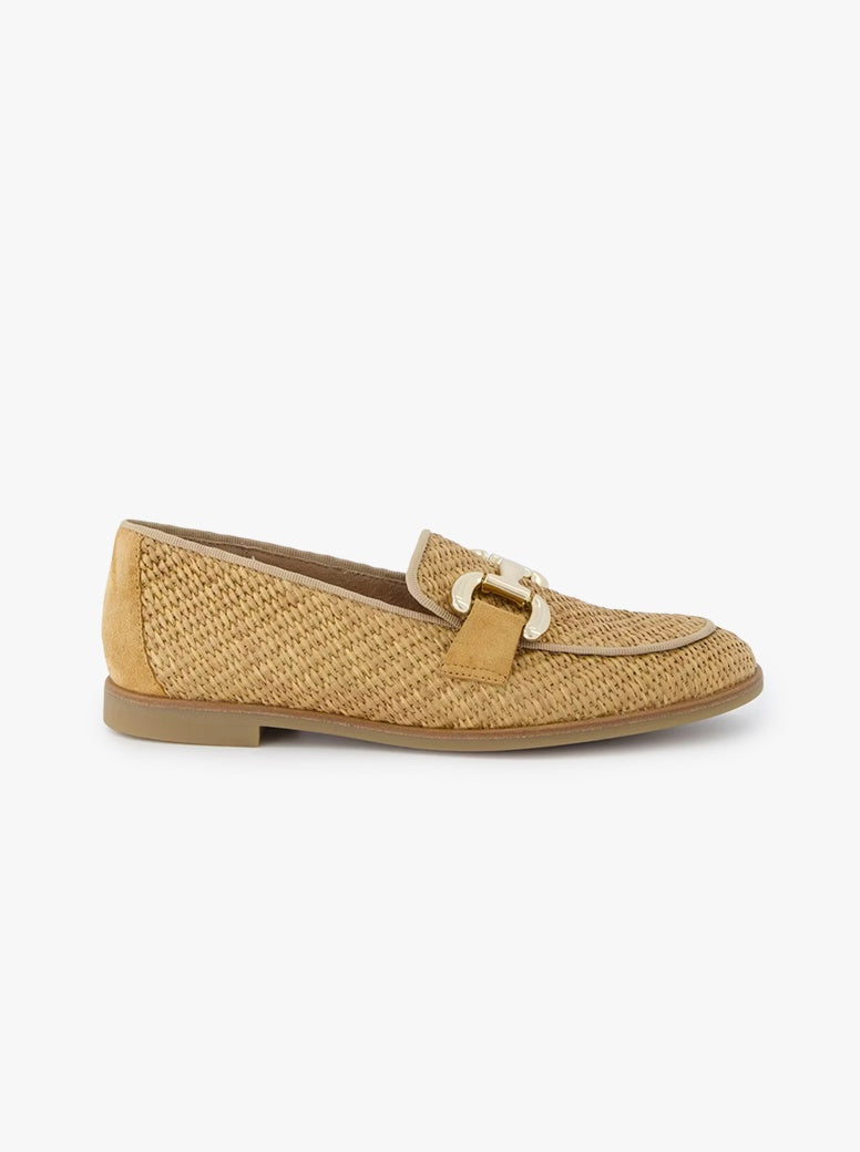 Zahara camel