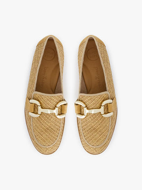 Zahara camel